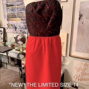 Lace strapless sheath from the limited